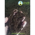 Süper 15'li Mix Biyo Kompost 25 Kg
